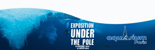 aquarium de paris,trocadéro,paris 16ème,paris,xvi,75016,75116,under the pole