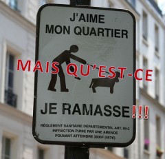 j'aime mon quartier mais que'est que je ramasse !!!.jpg